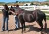thumbs hh 500 Horses helping kids