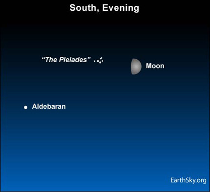 10jan24 430 Earthsky Tonight  January 24: Moon and Pleiades in south at nightfall  