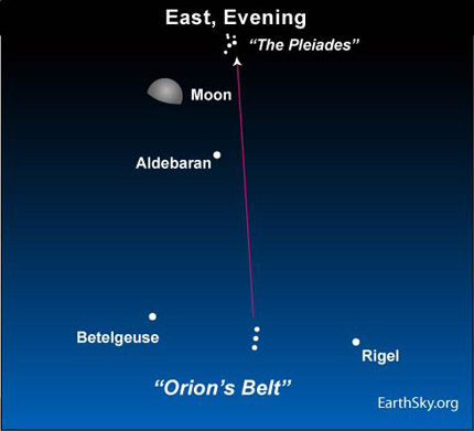 10jan25 4302 Earthsky Tonight   January 25, 2010: Moon close to Aldebaran, Pleiades