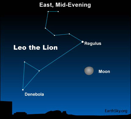 10jan31 430 Earthsky Tonight, January 31, 2010: Watch for Leo the Lion, harbinger of spring 