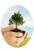 Berthoud Arbor Day Festivities Delayed