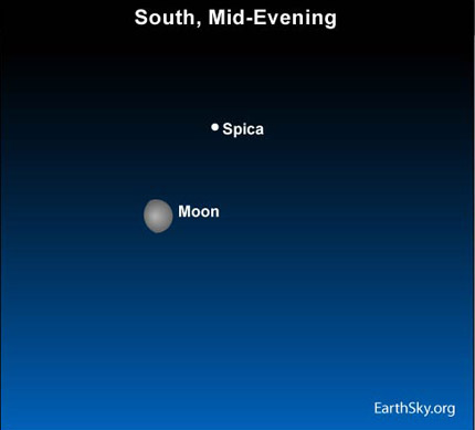 It passes relatively close to Spica for a day or two each month that Spica