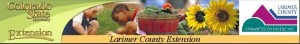Larimer County Extension service.new 3 300x44 Larimer County Extension service.new
