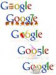 Larimer County “Go’s Google!!!”