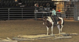 Fair 6612 300x163 Fair 6612