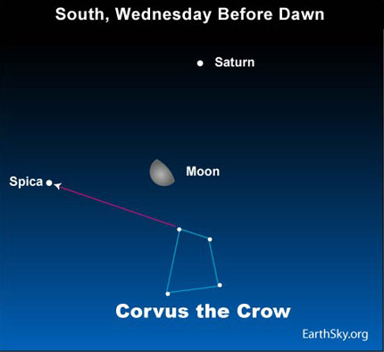 Evening Sky With Saturn and Corvus the Crow