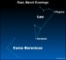 Earthsky Tonight—March 12, Tangle of stars in Berenice’s Hair