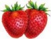 Sweet Strawberries Signal Summer