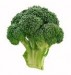 Enjoy Broccoli at Breakfast