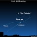 EarthSky Tonight—Nov 4, Modest meteor shower tonight. Moon and Venus before dawn tomorrow.