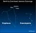 EarthSky Tonight—Nov 6, A famous variable star in the constellation Cepheus