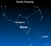Sky Tonight—January 20, Orion the Hunter easy to spot in January night sky