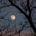 Sky Tonight—January 19, Full moon rises in east around sunset