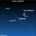 Sky Tonight—February 11, Waxing gibbous moon near Pleiades