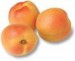 An Apricot sweet treat An Apricot sweet treat