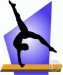 Gymnastics – Premier at State Level